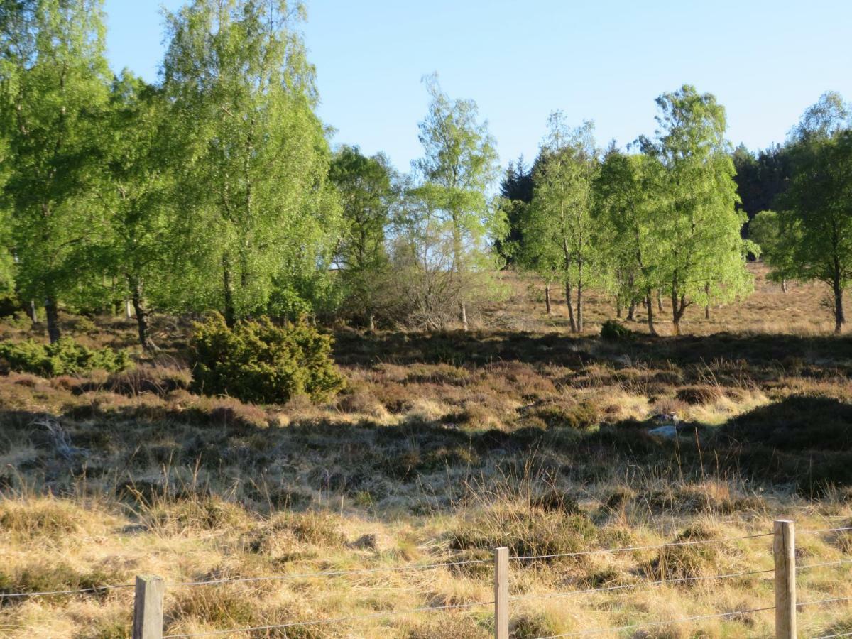 Balvraid Lodge B&B Inverness Zewnętrze zdjęcie
